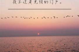 清浦调查业务